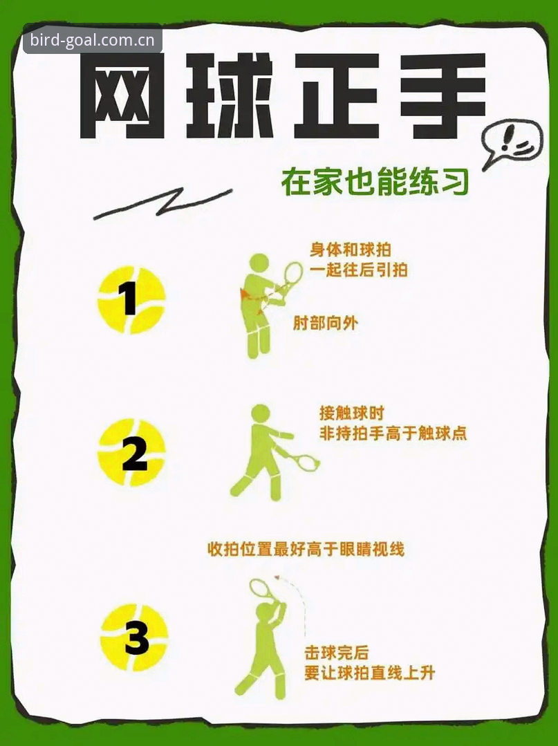 小鸟体育观看赛事操作教程：从新手到高手的完整指南