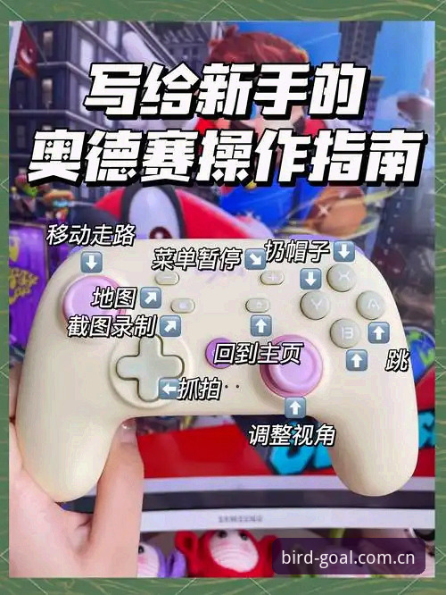 小鸟体育手机版怎么用 小鸟体育手机版怎么用?三步教你玩转体育赛事新体验