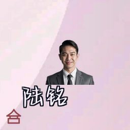 陆铭