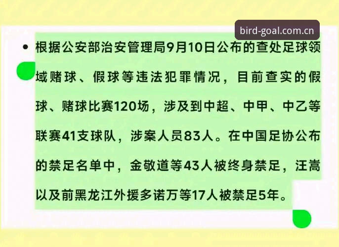 足协第三批禁足名单深度解读：小鸟体育账号注册用户获取权威信息的完整指南