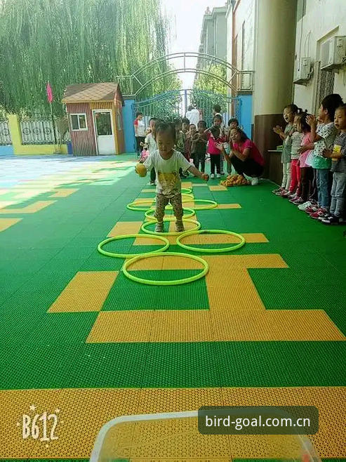 小鸟体育官网入口 vs 小鸟体育最新版下载：新手第一份小鸟体育评价对比指南